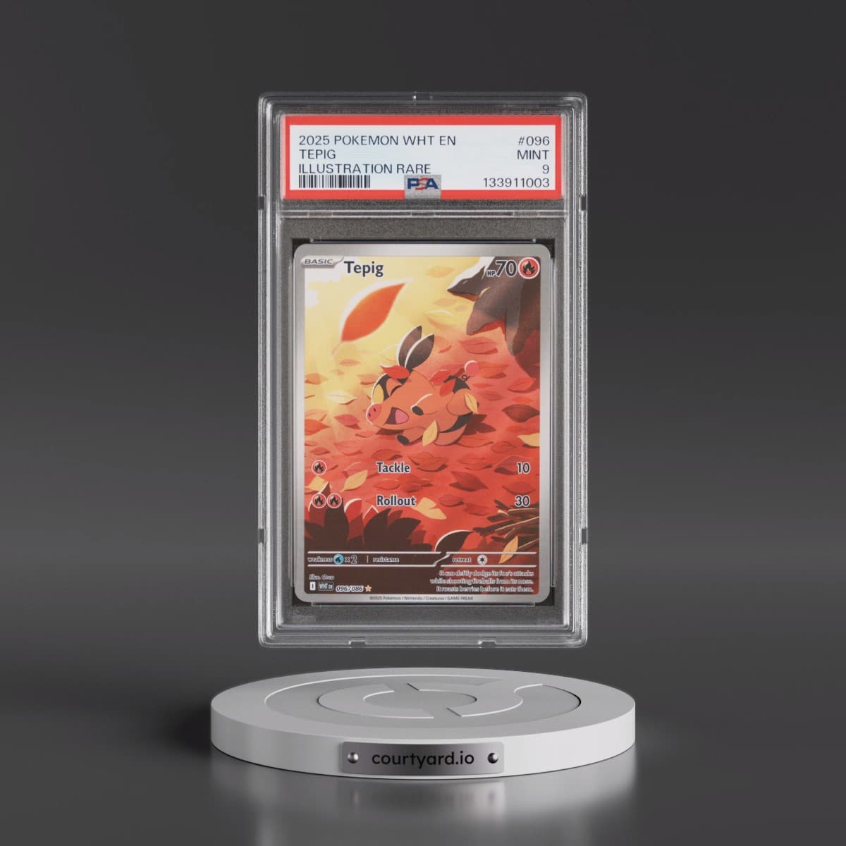 2025 Pokémon Wht EN-White Flare #096 Tepig - Illustration Rare (PSA 9 MINT)