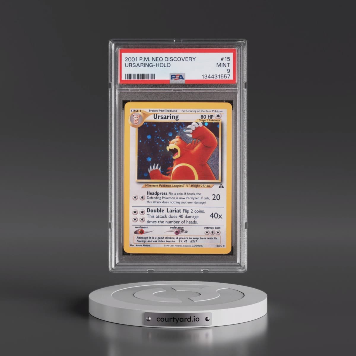 Pokémon Neo Discovery
