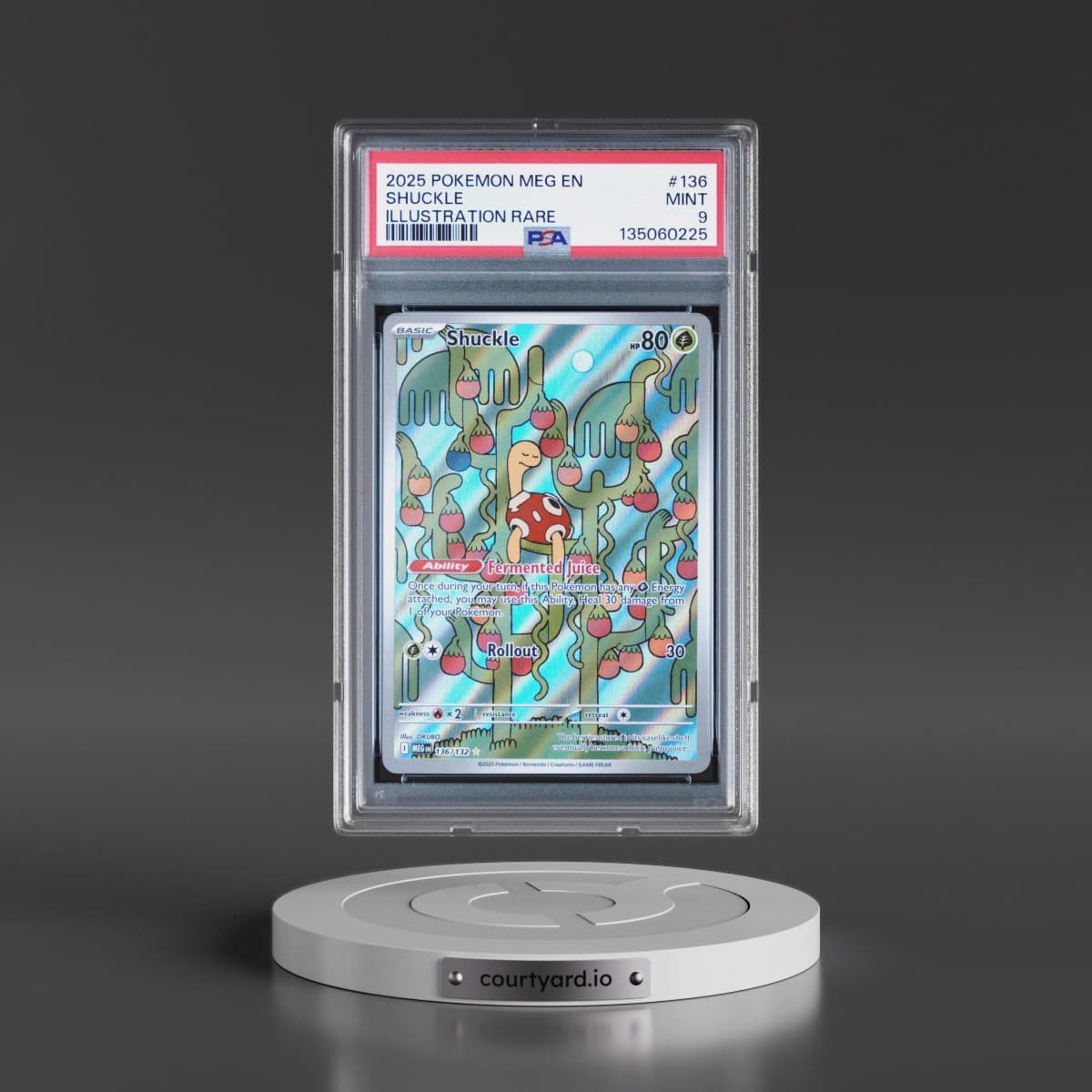 2025 Pokémon Meg EN-Mega Evolution #136 Shuckle - Illustration Rare (PSA 9 MINT)