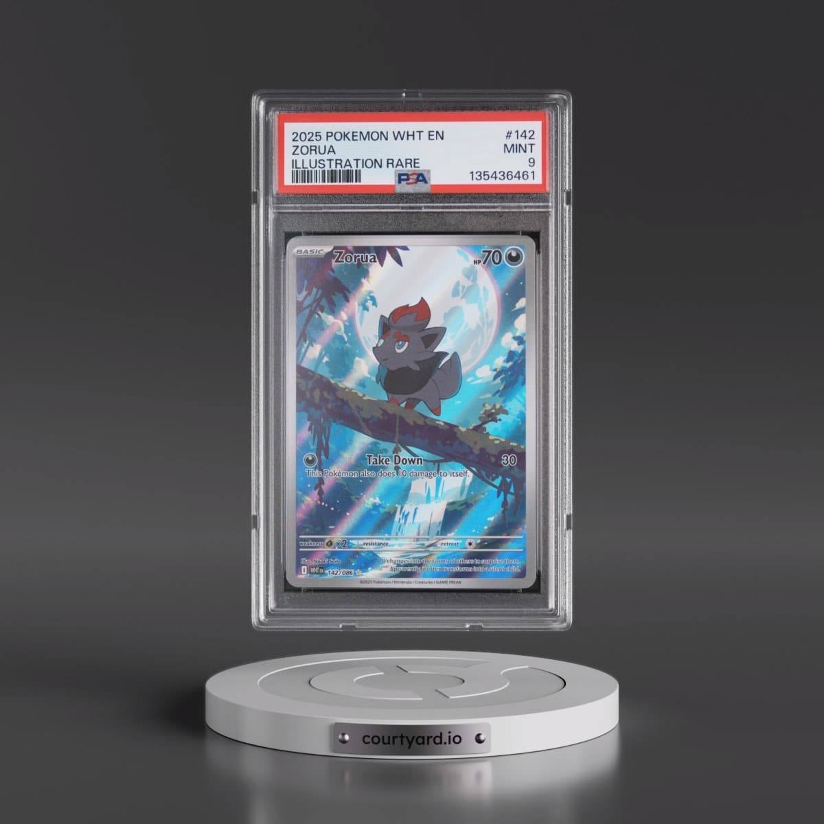 2025 Pokémon Wht EN-White Flare #142 Zorua - Illustration Rare (PSA 9 MINT)