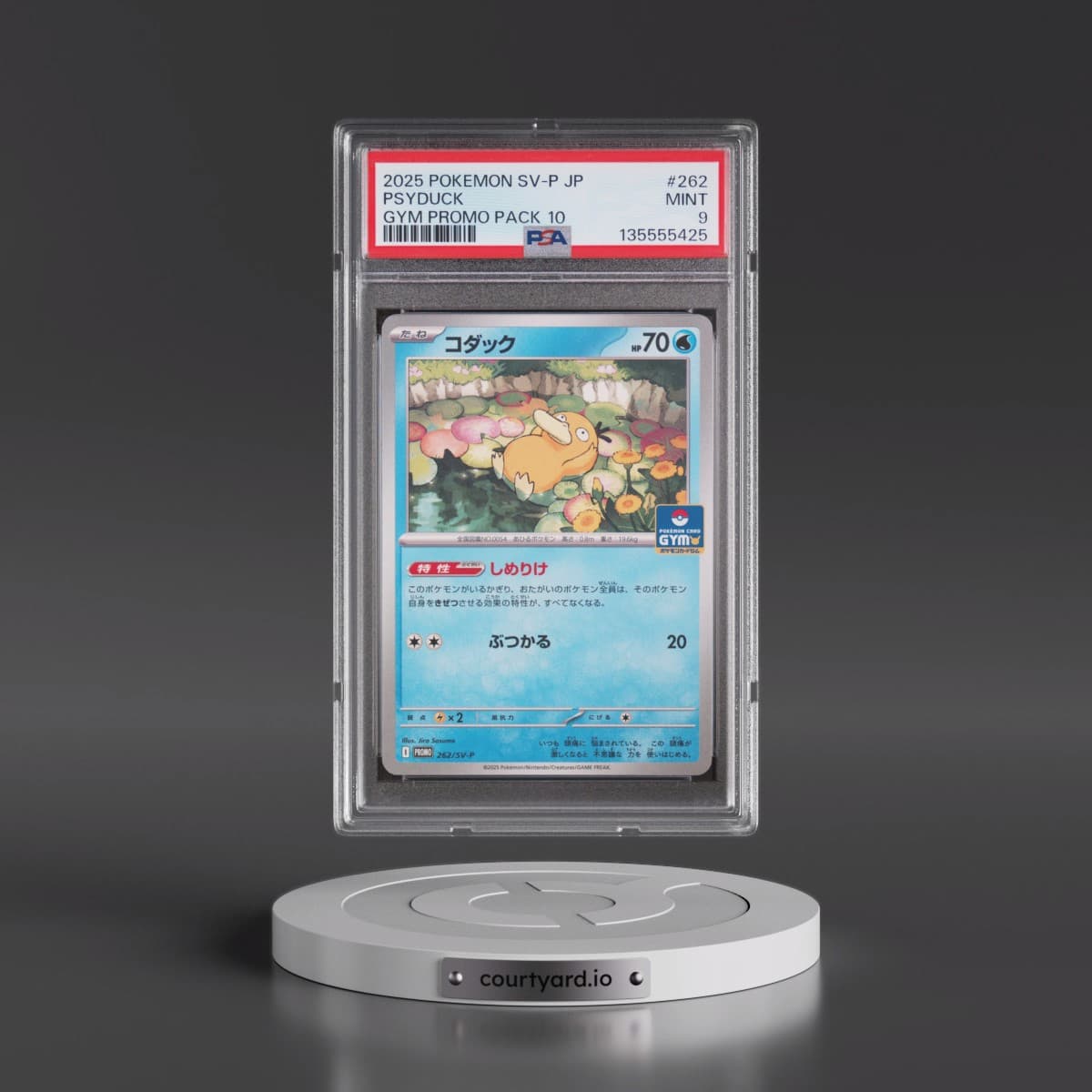 2025 Pokémon SV-P Promo #262 Psyduck - Gym Promo Pack 10 (PSA 9 MINT)