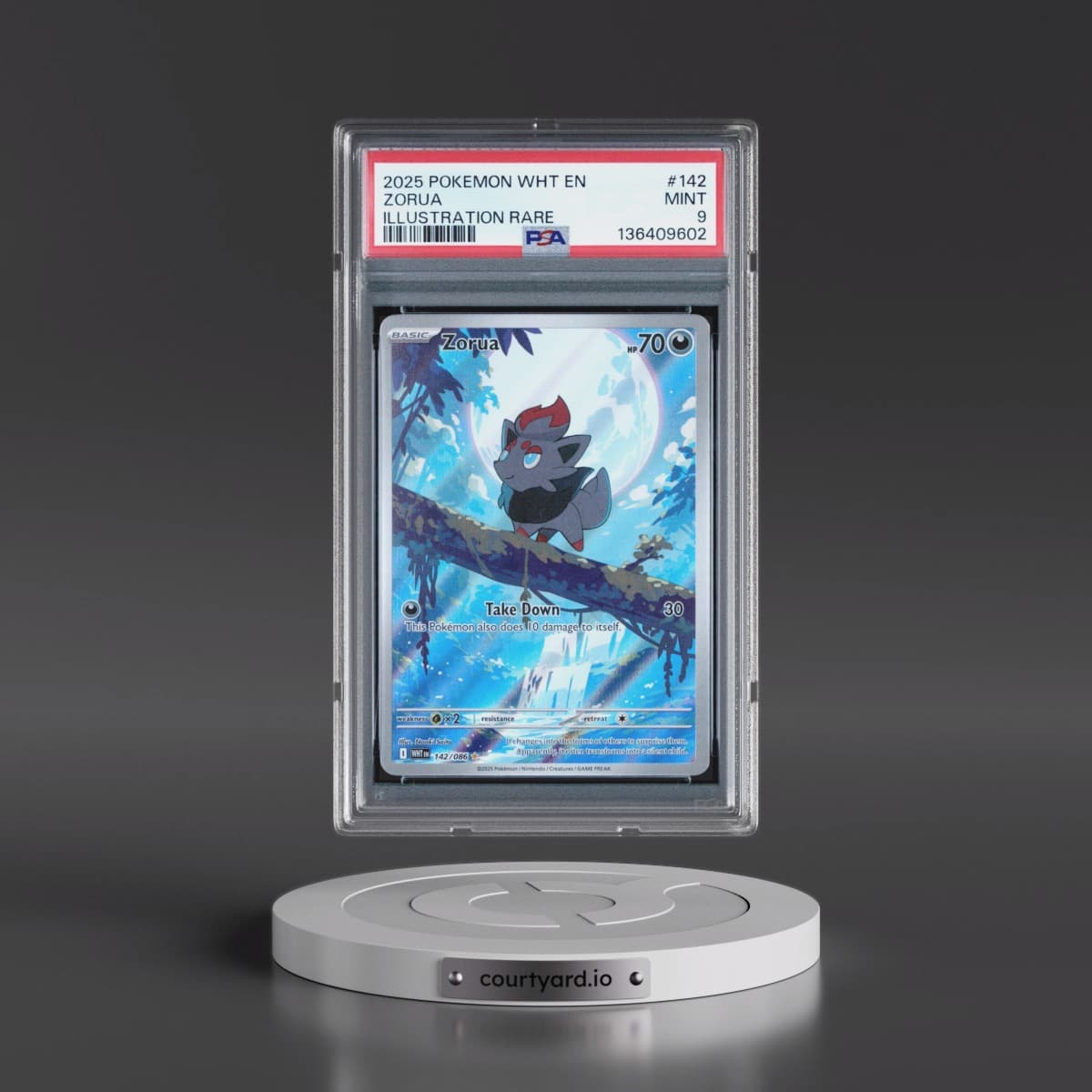 2025 Pokémon Wht EN-White Flare #142 Zorua - Illustration Rare (PSA 9 MINT)