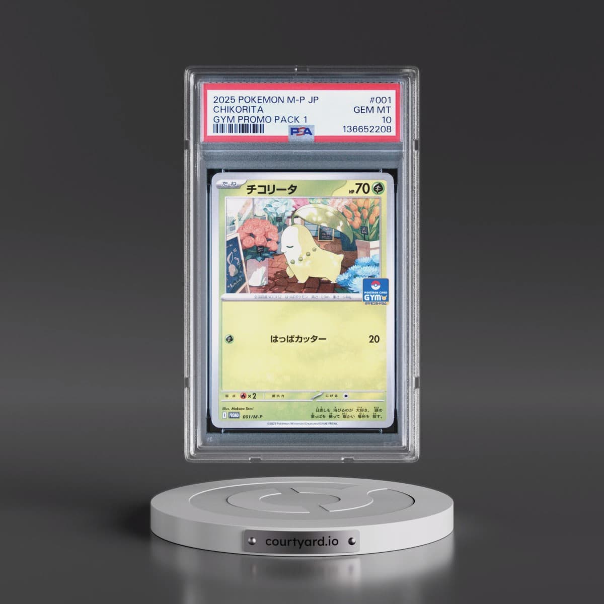2025 Pokémon M-P Promo #001 Chikorita - Gym Promo Pack 1 (PSA 10 GEM MINT)