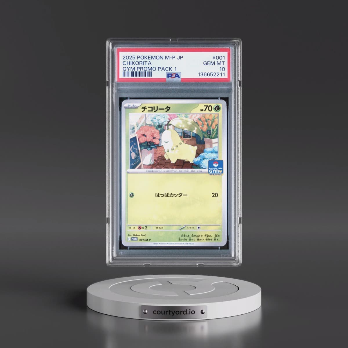 2025 Pokémon M-P Promo #001 Chikorita - Gym Promo Pack 1 (PSA 10 GEM MINT)