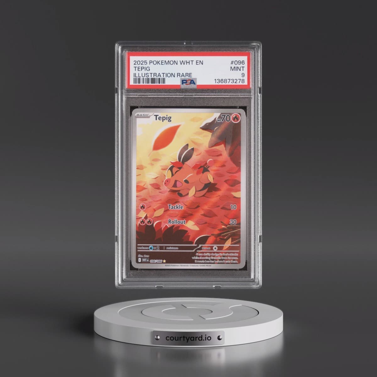 2025 Pokémon Wht EN-White Flare #096 Tepig - Illustration Rare (PSA 9 MINT)