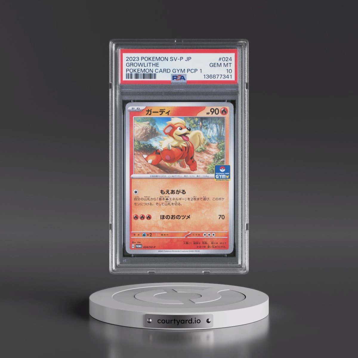 2023 Pokémon SV-P Promo #024 Growlithe - Pokemon Card Gym Promo Card Pack 1 (PSA 10 GEM MINT)