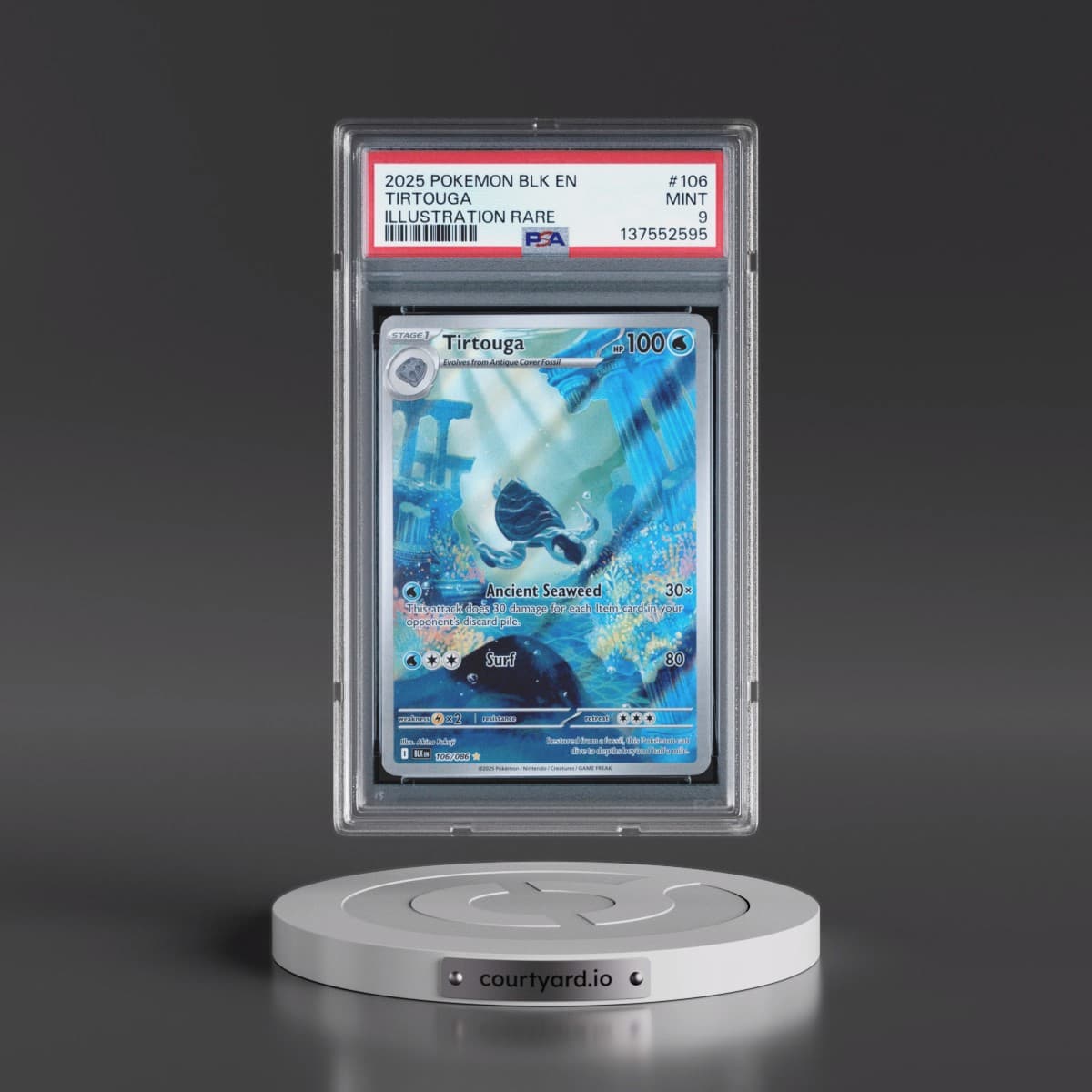 2025 Pokémon Blk EN-Black Bolt #106 Tirtouga - Illustration Rare (PSA 9 MINT)