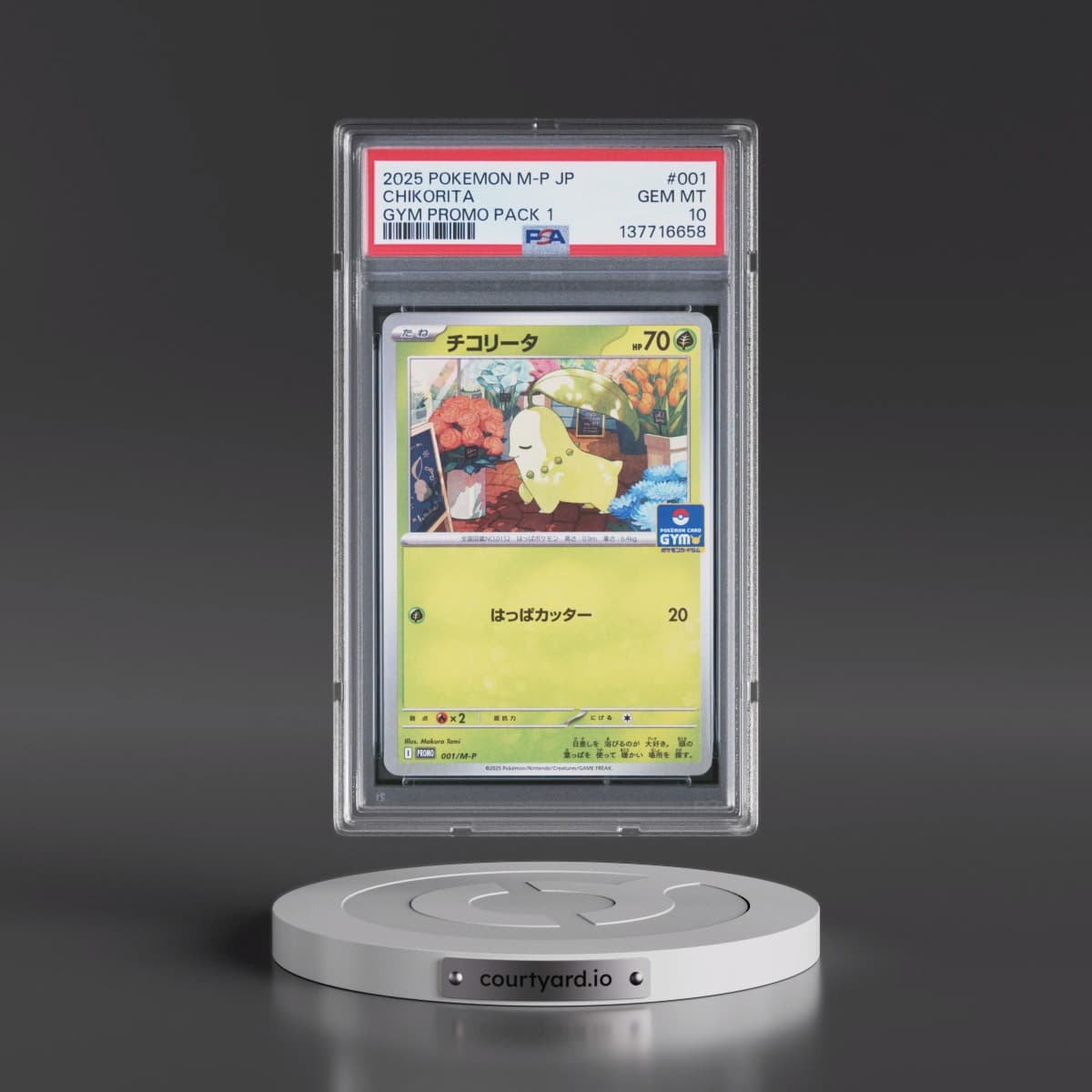 2025 Pokémon M-P Promo #001 Chikorita - Gym Promo Pack 1 (PSA 10 GEM MINT)