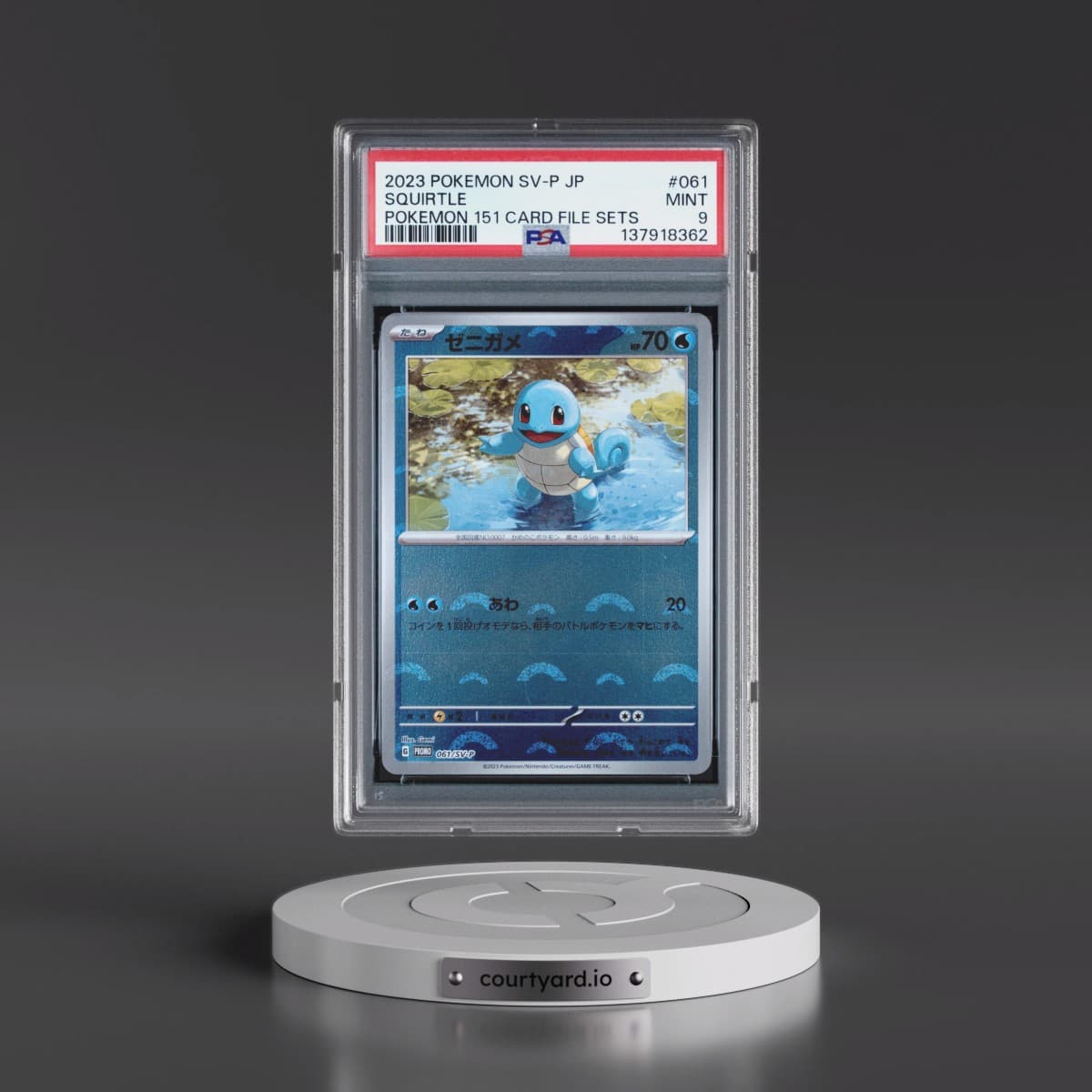 2023 Pokémon SV-P Promo #061 Squirtle - Pokemon 151 Card File Sets (PSA 9 MINT)