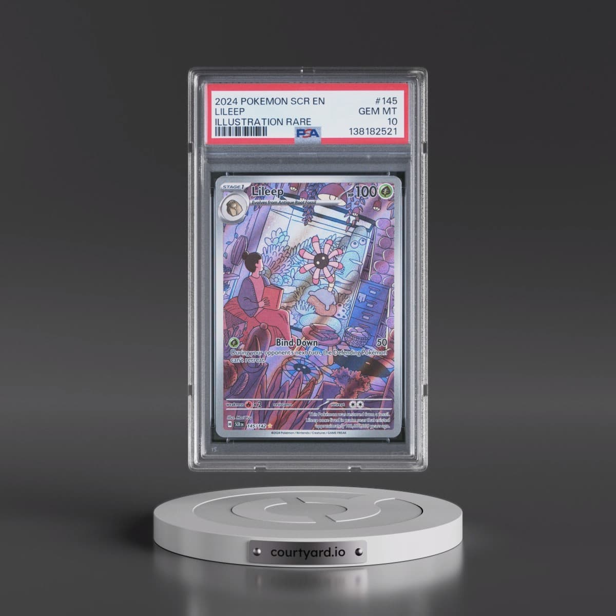 2024 Pokémon Scr EN-Stellar Crown #145 Lileep - Illustration Rare (PSA 10 GEM MINT)