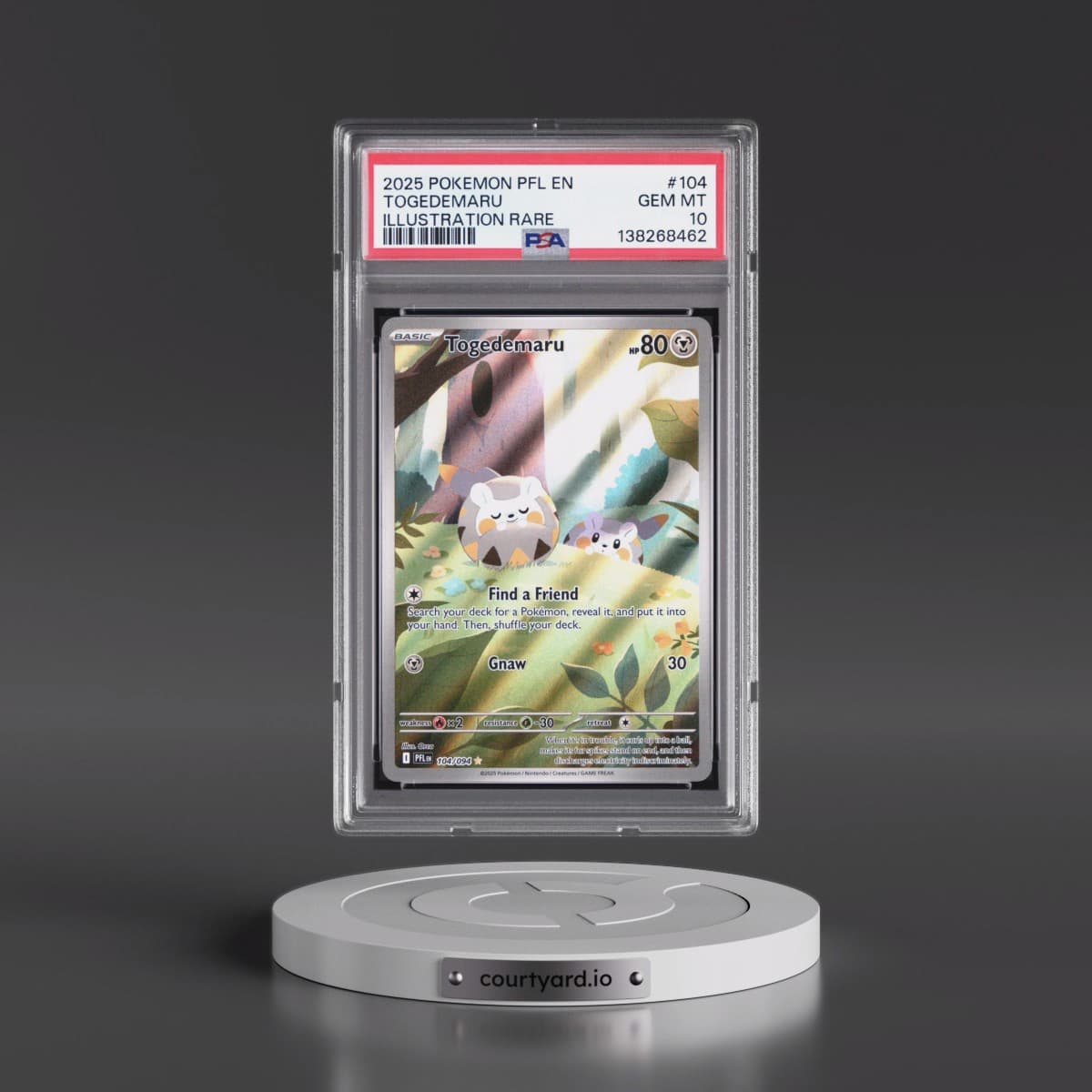 2025 Pokémon Pfl EN-Phantasmal Flames #104 Togedemaru - Illustration Rare (PSA 10 GEM MINT)