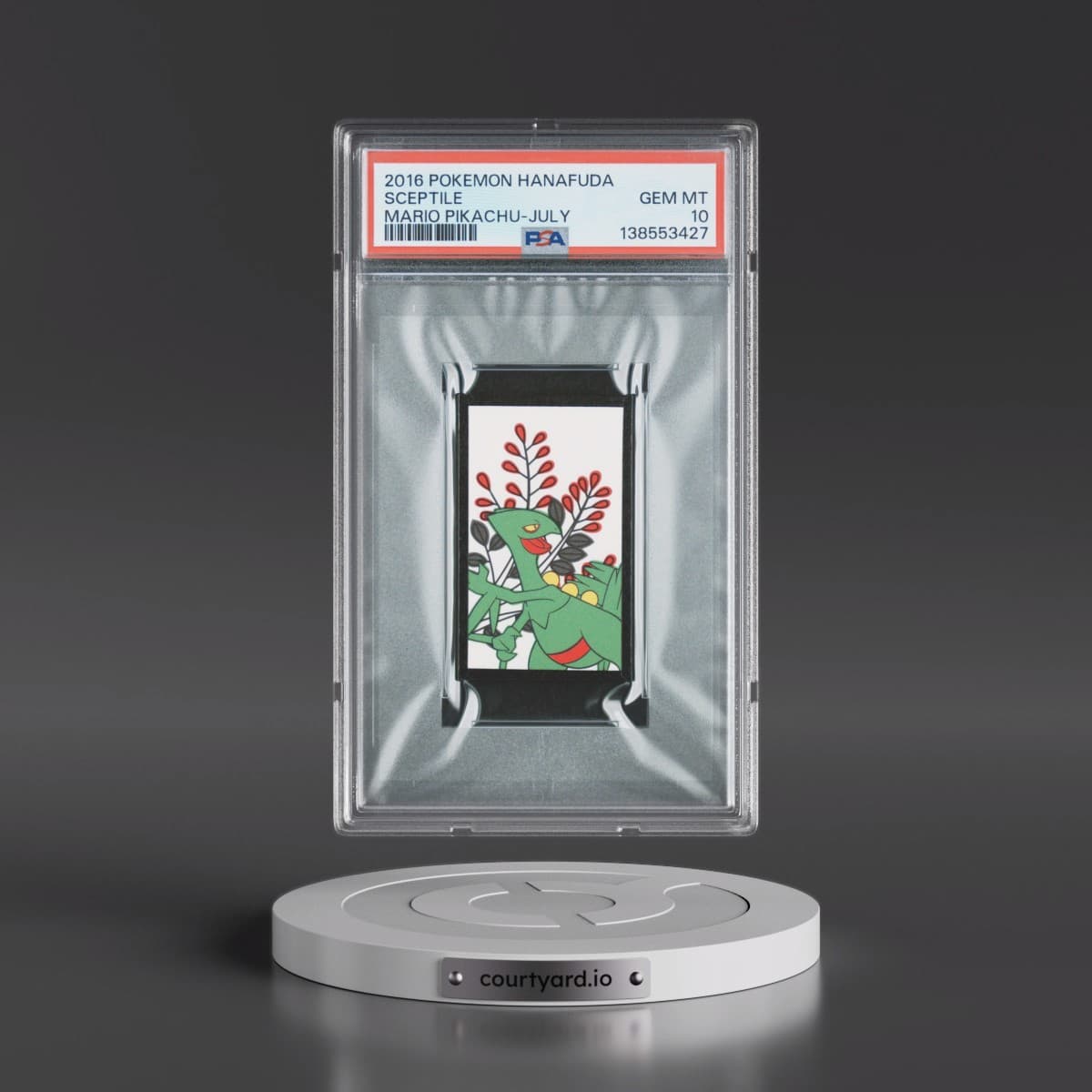 Pokémon Hanafuda Mario Pikachu