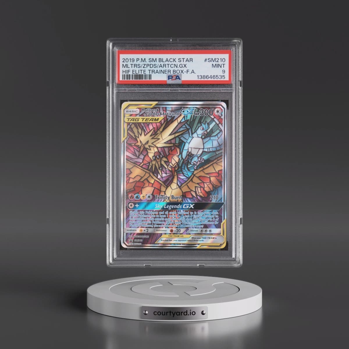 2019 Pokémon SM Black Star Promo #SM210 Moltres & Zapdos & Articuno GX - Holo Full Art Hidden Fates Elite Trainer Box (PSA 9 MINT)