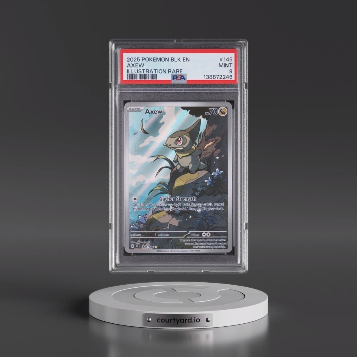 2025 Pokémon Blk EN-Black Bolt #145 Axew - Illustration Rare (PSA 9 MINT)