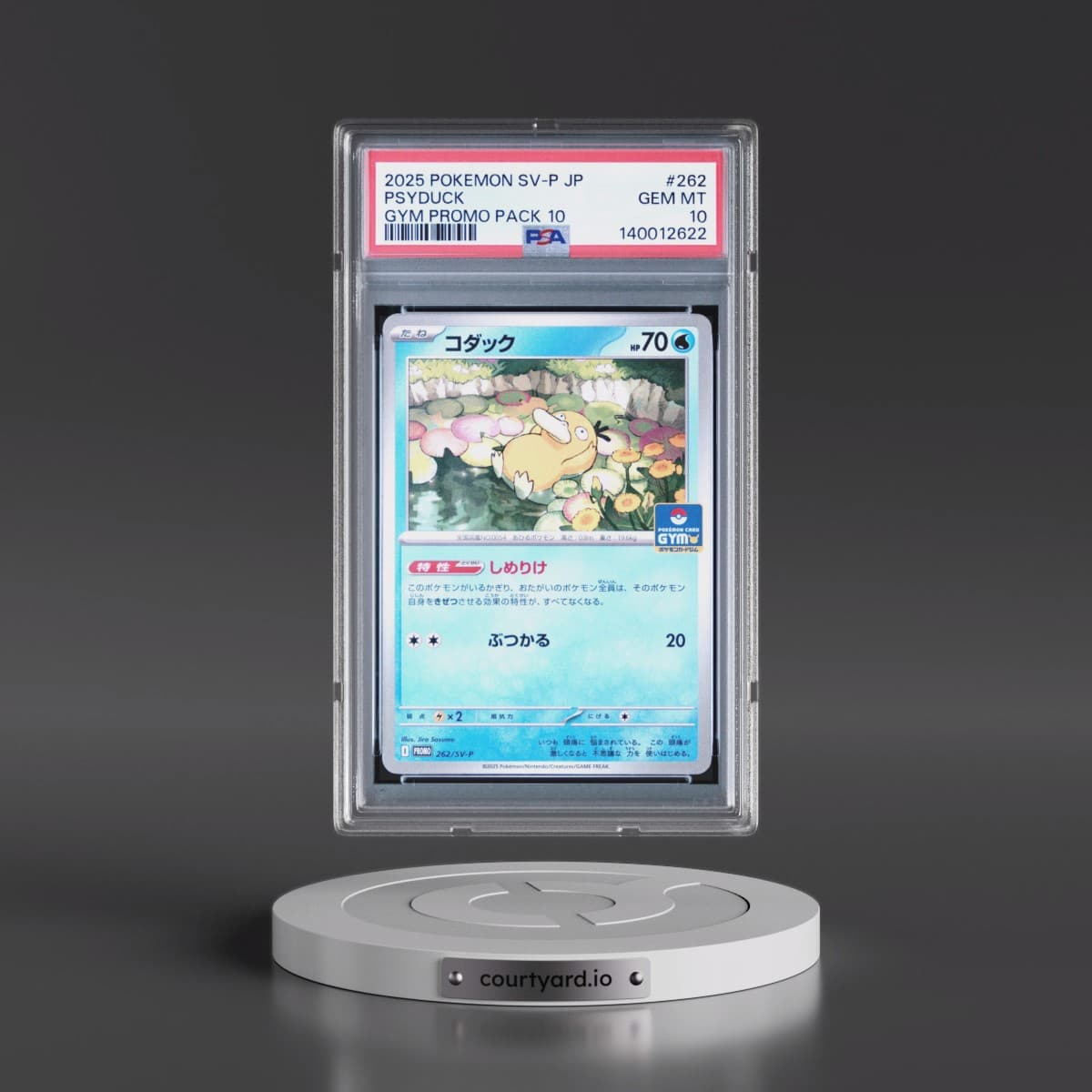 2025 Pokémon SV-P Promo #262 Psyduck - Gym Promo Pack 10 (PSA 10 GEM MINT)