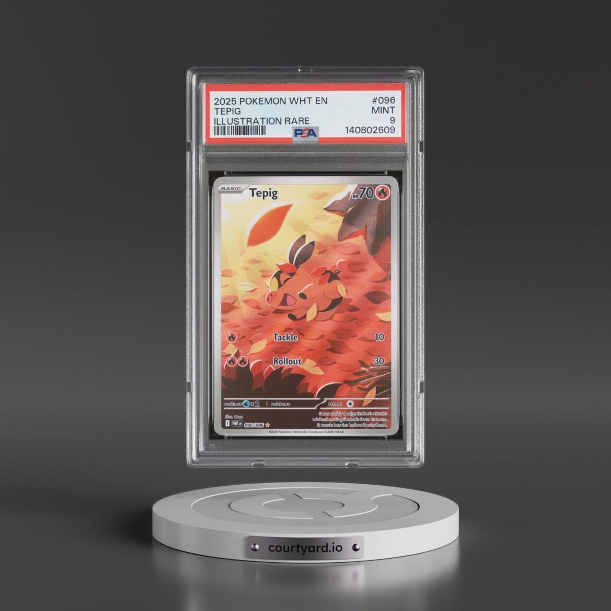 2025 Pokémon Wht EN-White Flare #096 Tepig - Illustration Rare (PSA 9 MINT)