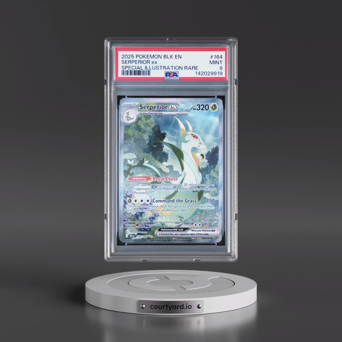 2025 Pokémon Blk EN-Black Bolt #164 Serperior EX - Holo Special Illustration Rare (PSA 9 MINT)