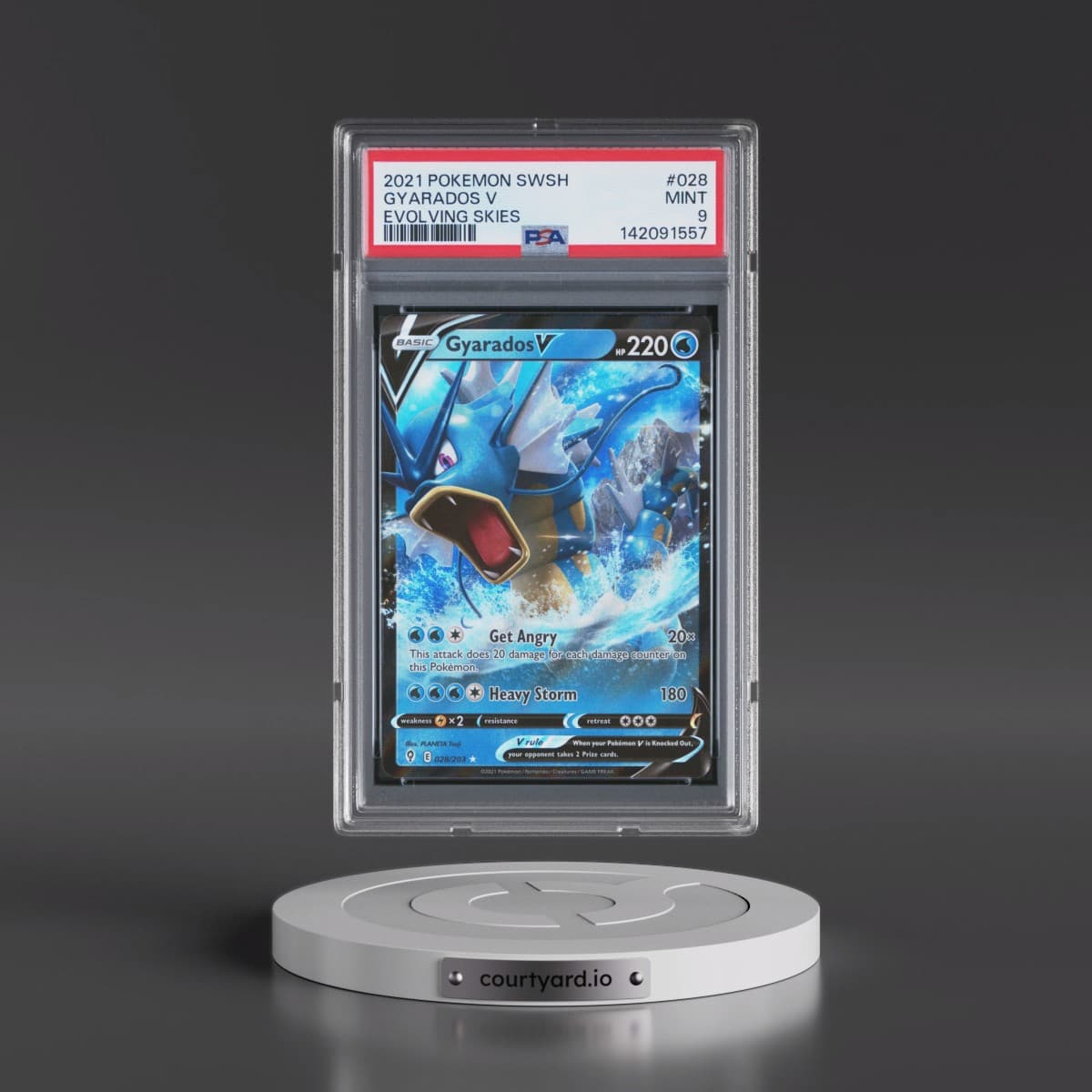 2021 Pokémon Sword & Shield Evolving Skies #028 Gyarados V - Holo (PSA 9 MINT)