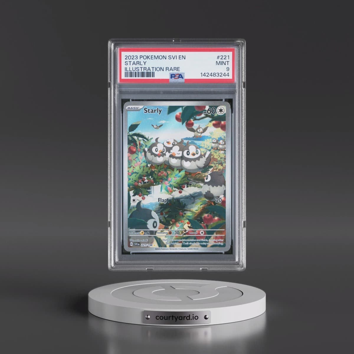 2023 Pokémon Svi EN-Scarlet & Violet #221 Starly - Illustration Rare (PSA 9 MINT)