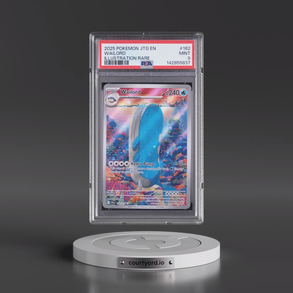 2025 Pokémon Jtg EN-Journey Together #162 Wailord - Illustration Rare (PSA 9 MINT)