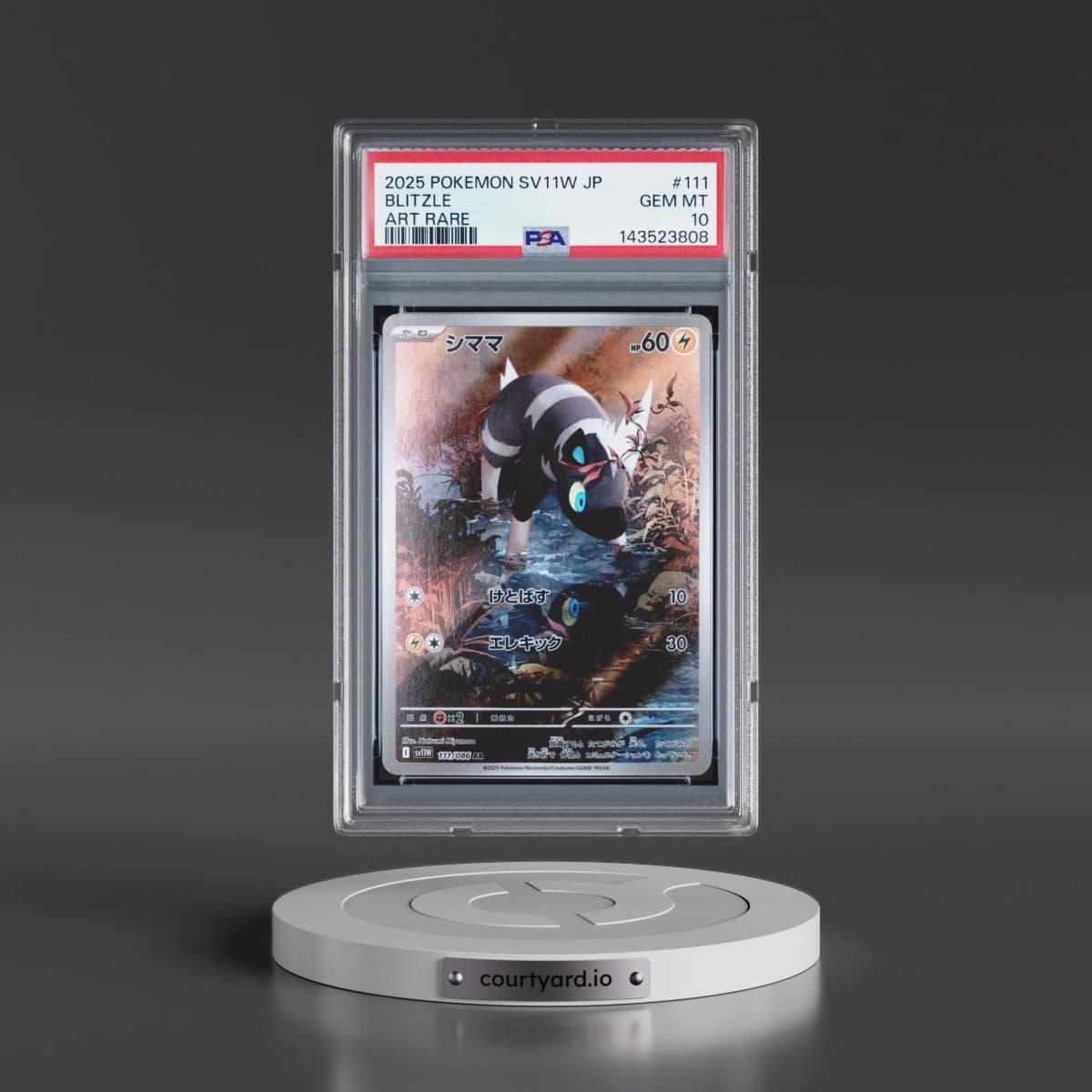 2025 Pokémon Sv11w-White Flare #111 Blitzle - Art Rare (PSA 10 GEM MINT)