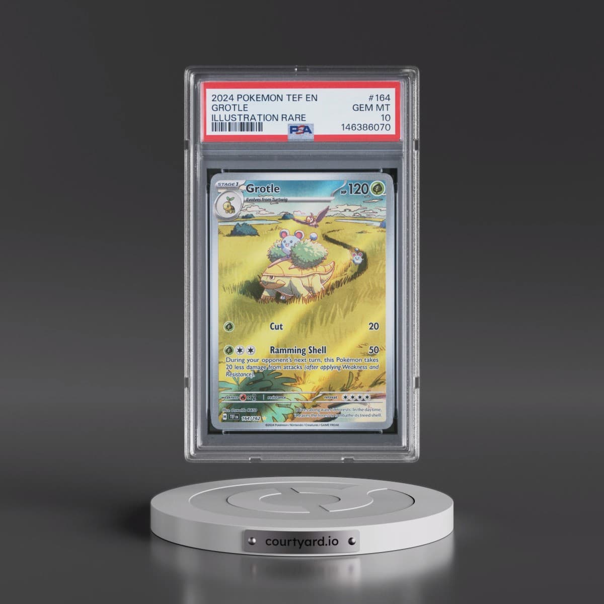 2024 Pokémon Tef EN-Temporal Forces #164 Grotle - Illustration Rare (PSA 10 GEM MINT)