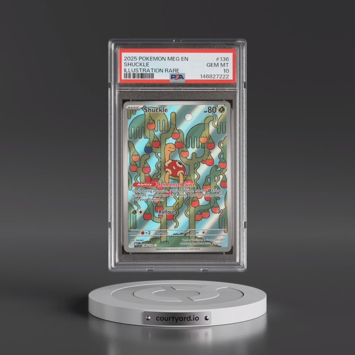 2025 Pokémon Meg EN-Mega Evolution #136 Shuckle - Illustration Rare (PSA 10 GEM MINT)