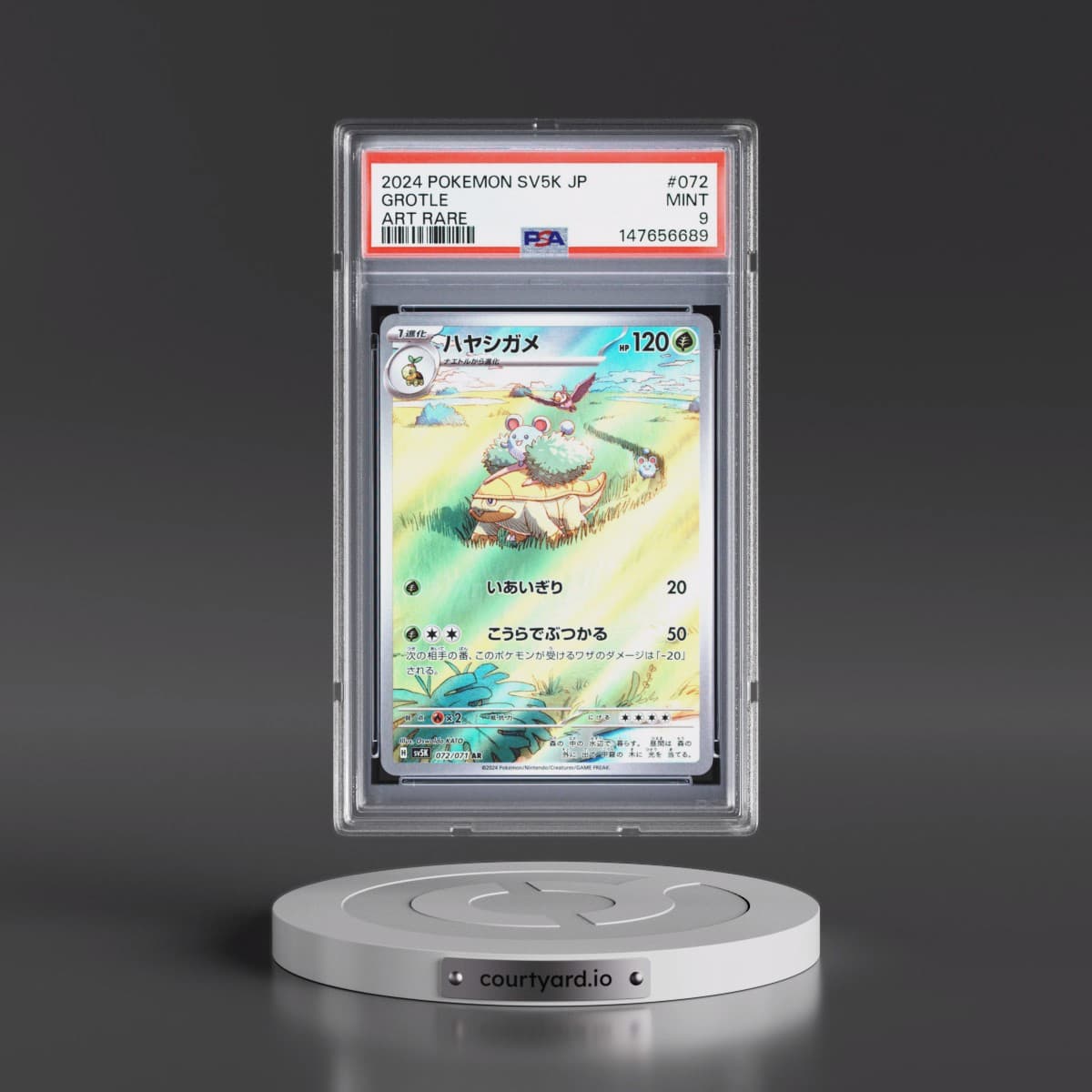 2024 Pokémon Sv5k-Wild Force #072 Grotle - Art Rare (PSA 9 MINT)