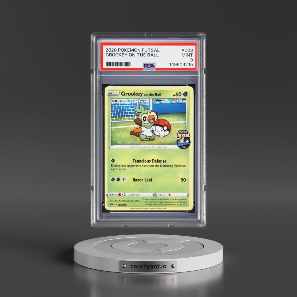 Pokémon Futsal