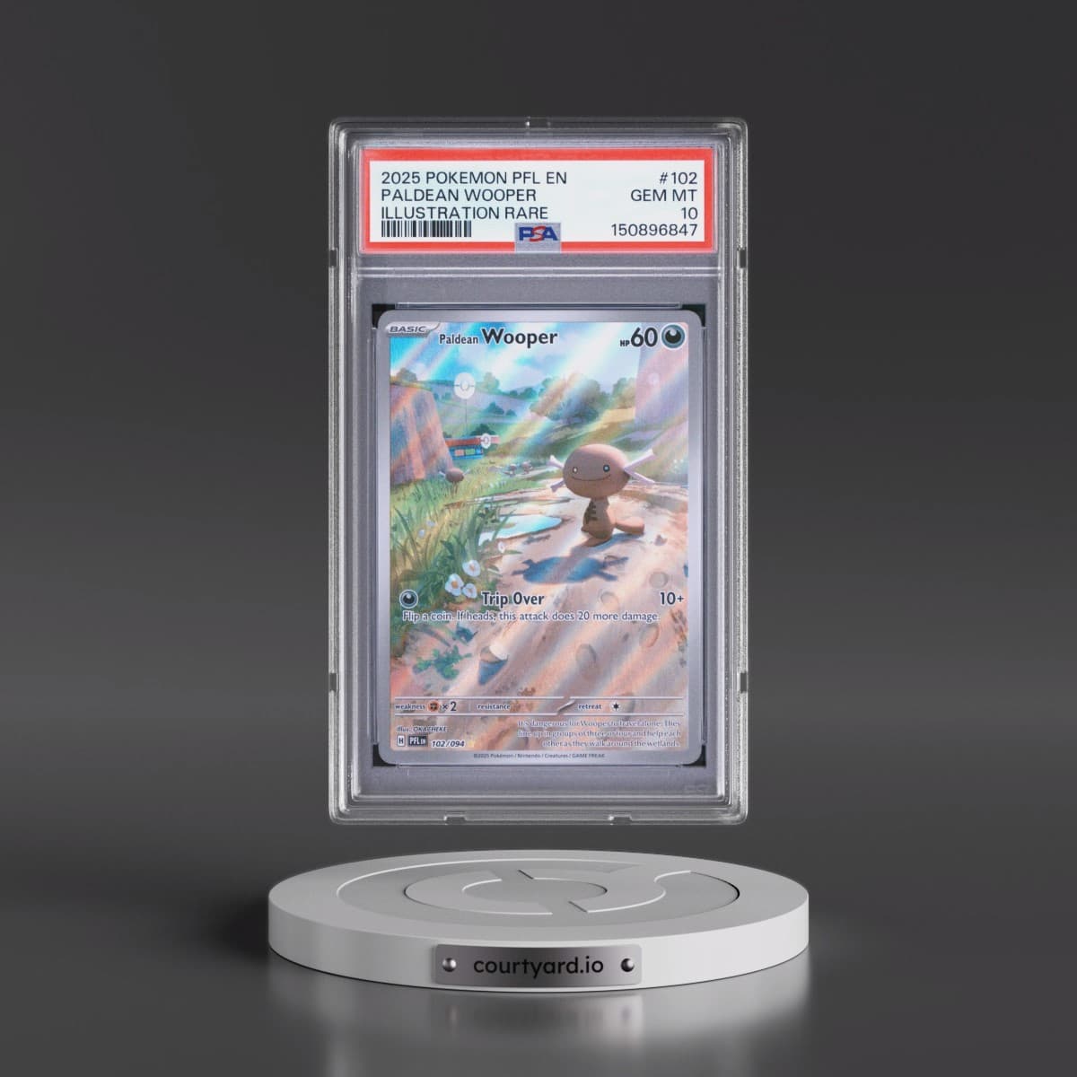 2025 Pokémon Pfl EN-Phantasmal Flames #102 Paldean Wooper - Illustration Rare (PSA 10 GEM MINT)
