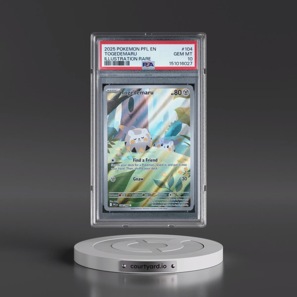 2025 Pokémon Pfl EN-Phantasmal Flames #104 Togedemaru - Illustration Rare (PSA 10 GEM MINT)