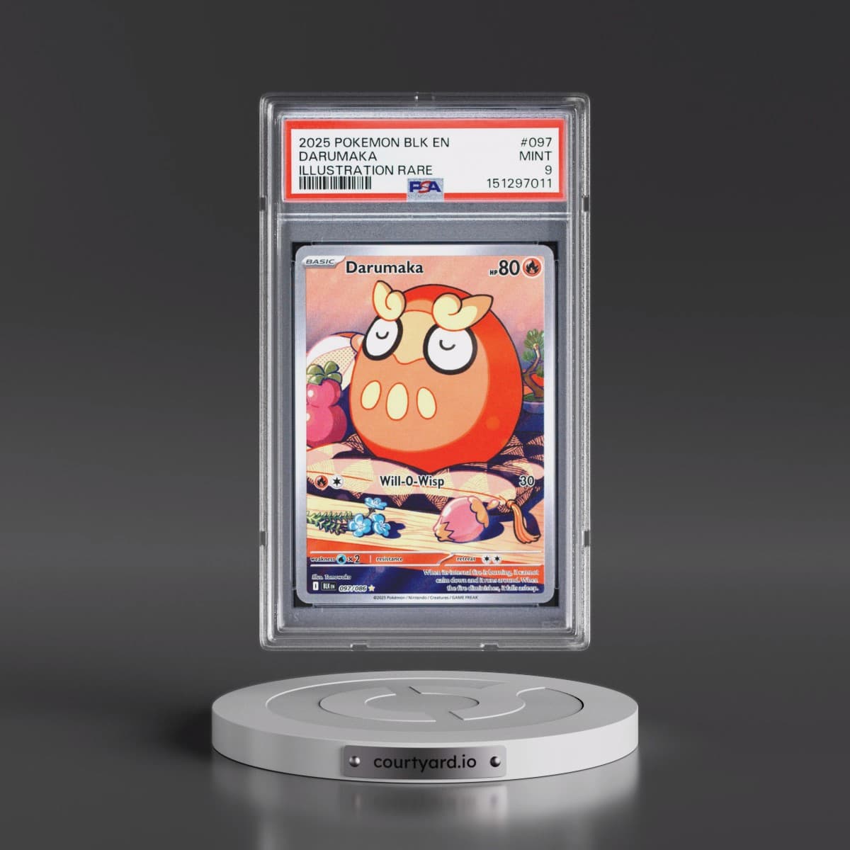 2025 Pokémon Blk EN-Black Bolt #097 Darumaka - Illustration Rare (PSA 9 MINT)