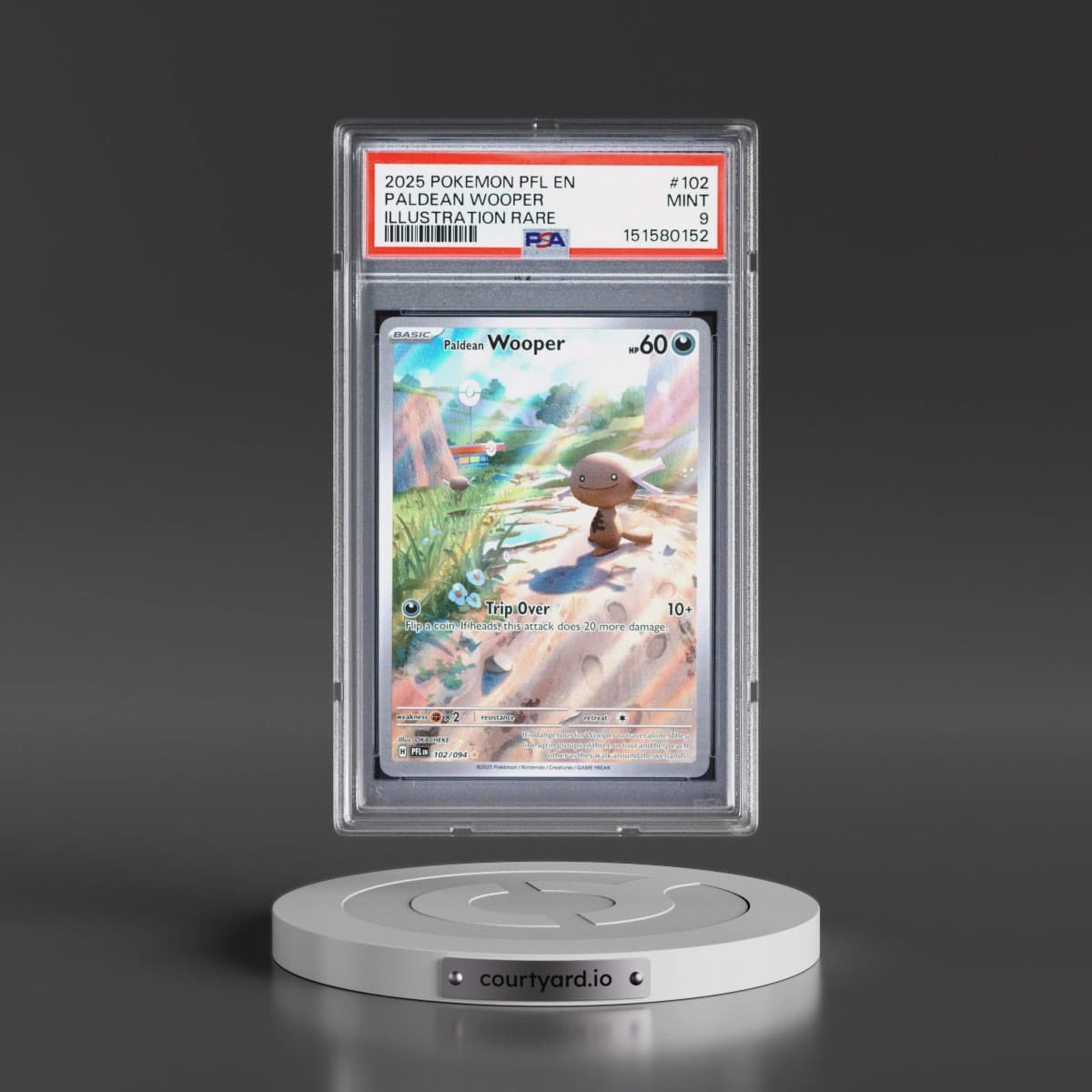2025 Pokémon Pfl EN-Phantasmal Flames #102 Paldean Wooper - Illustration Rare (PSA 9 MINT)