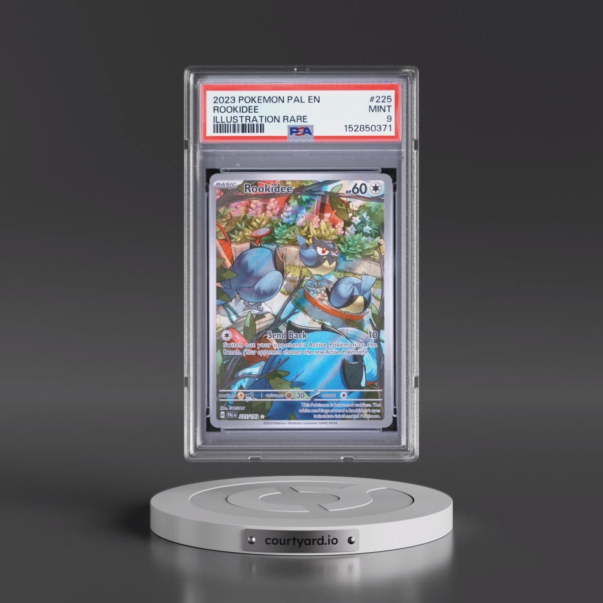 2023 Pokémon Pal EN-Paldea Evolved #225 Rookidee - Illustration Rare (PSA 9 MINT)
