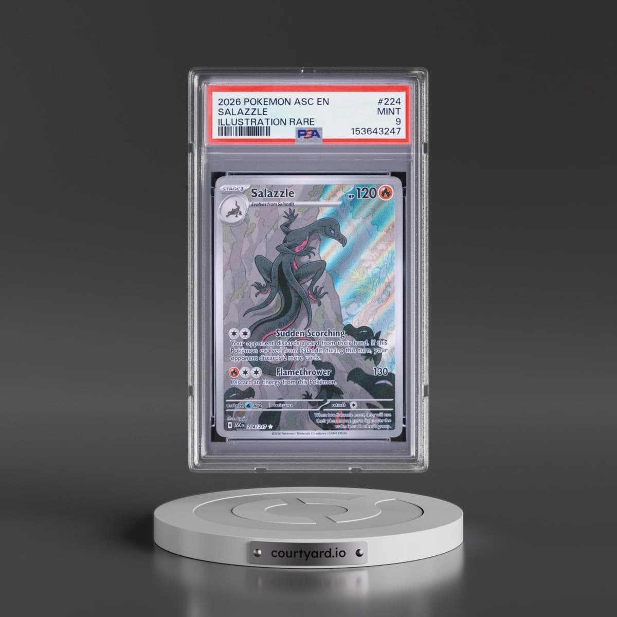 2026 Pokémon Asc EN-Ascended Heroes #224 Salazzle - Illustration Rare (PSA 9 MINT)