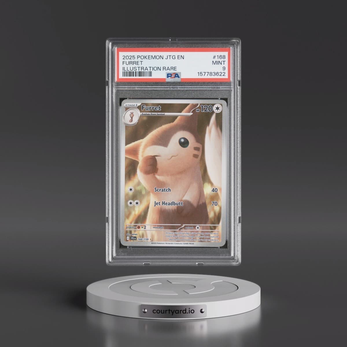2025 Pokémon Jtg EN-Journey Together #168 Furret - Illustration Rare (PSA 9 MINT)