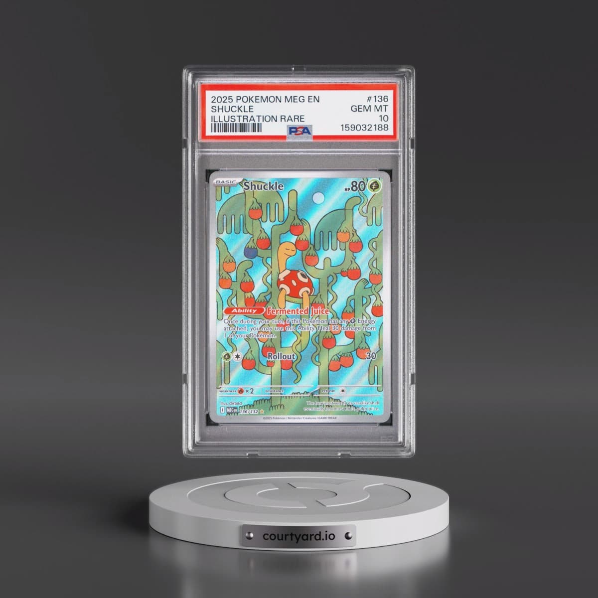 2025 Pokémon Meg EN-Mega Evolution #136 Shuckle - Illustration Rare (PSA 10 GEM MINT)