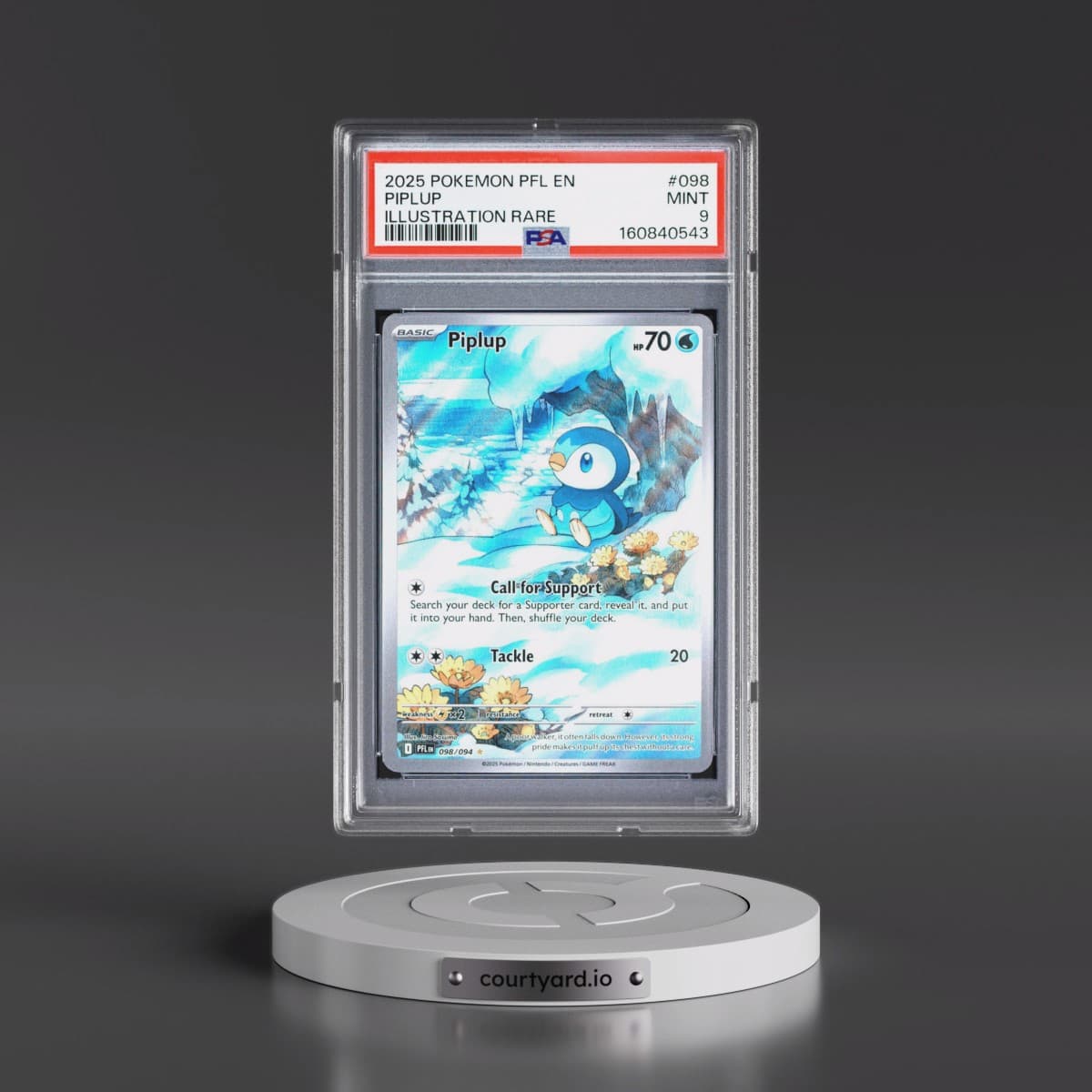 2025 Pokémon Pfl EN-Phantasmal Flames #098 Piplup - Illustration Rare (PSA 9 MINT)