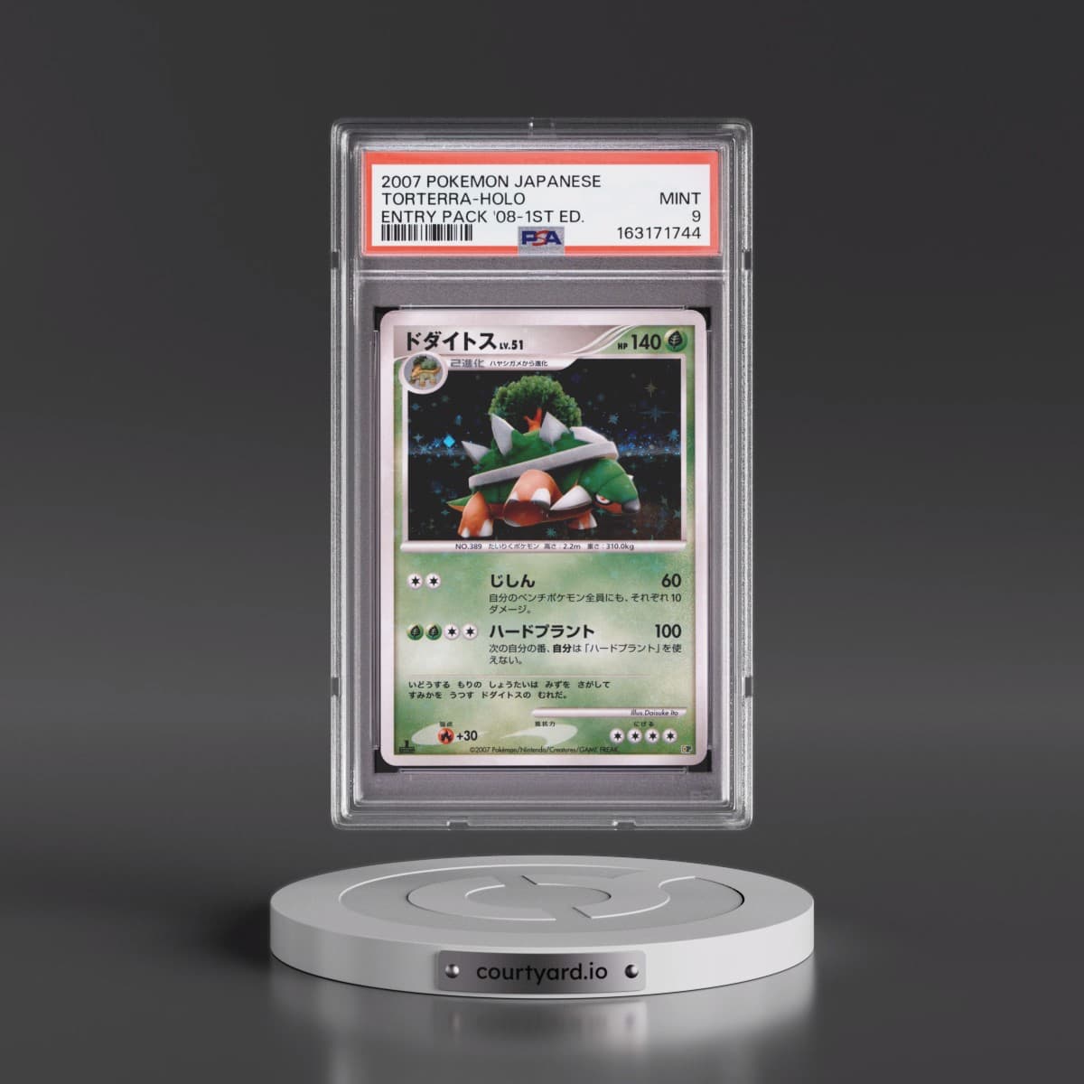 Pokémon Entry Pack '08