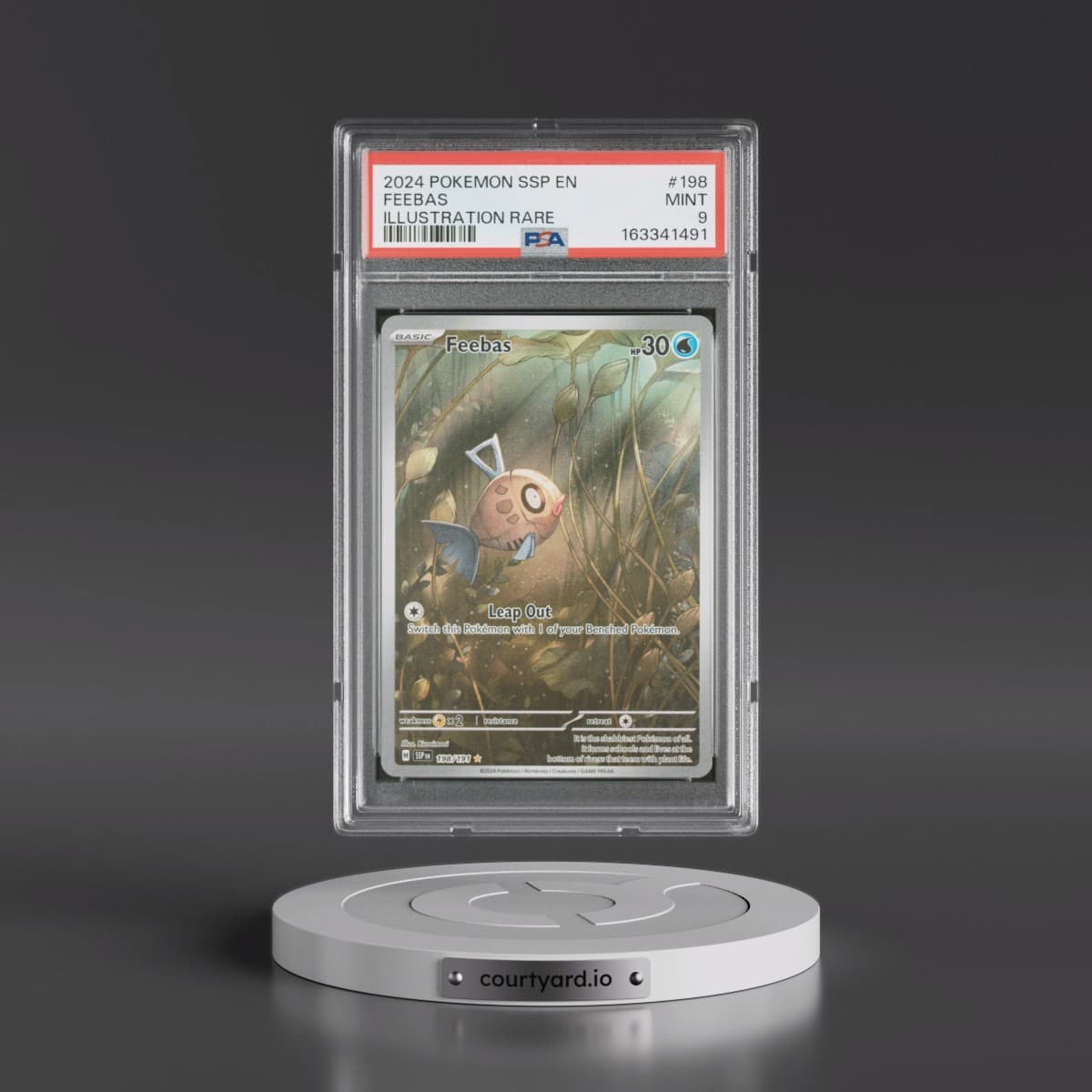 2024 Pokémon Ssp EN-Surging Sparks #198 Feebas - Illustration Rare (PSA 9 MINT)