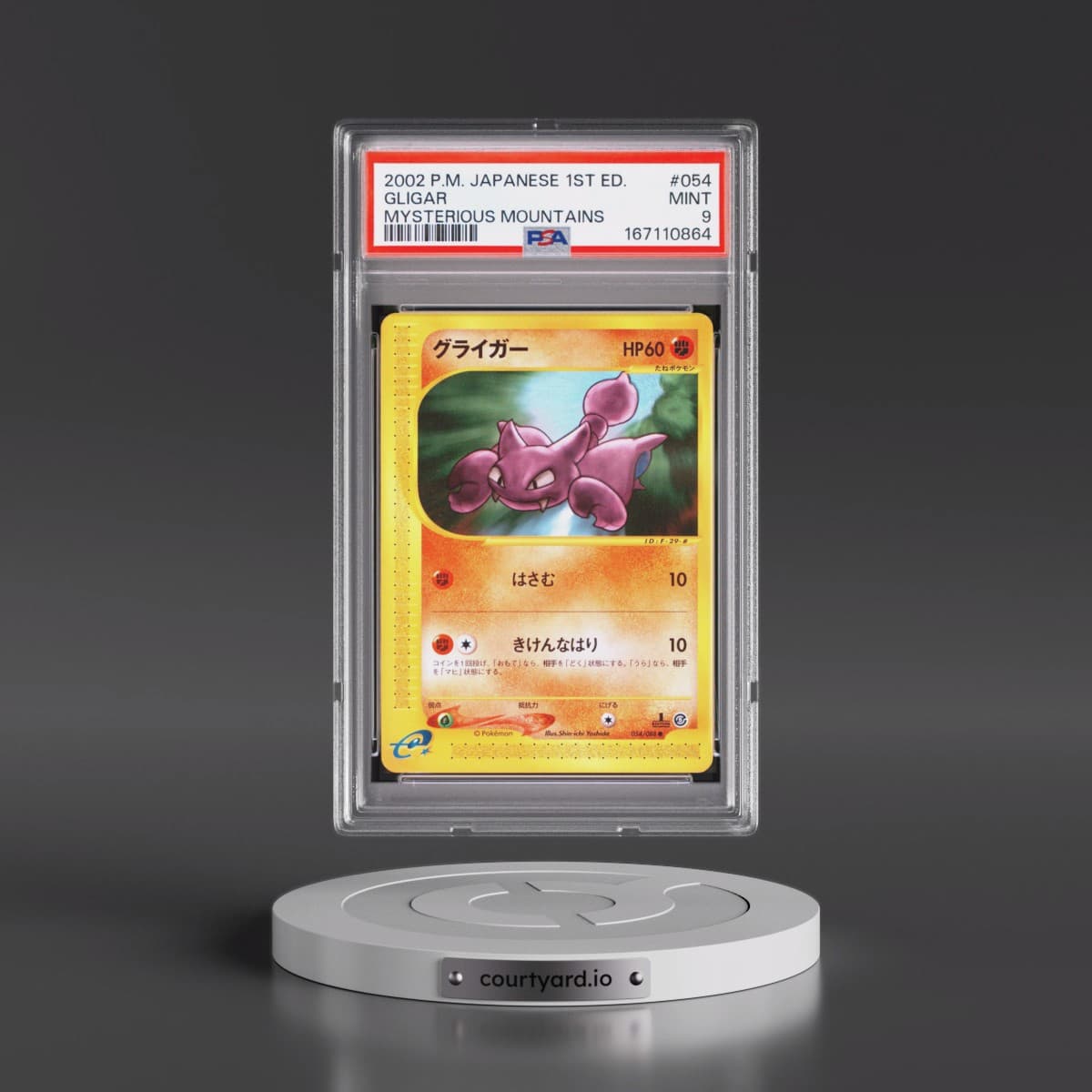 Pokémon Mysterious Mountains