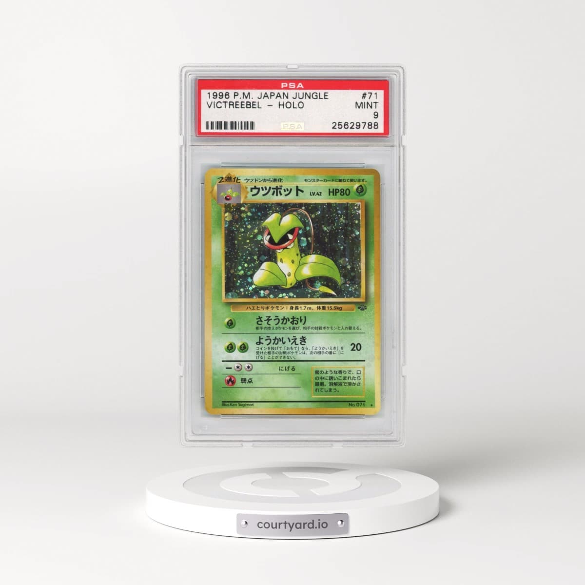 1997 Pokémon Jungle #71 Victreebel - Holo (PSA 9 MINT)