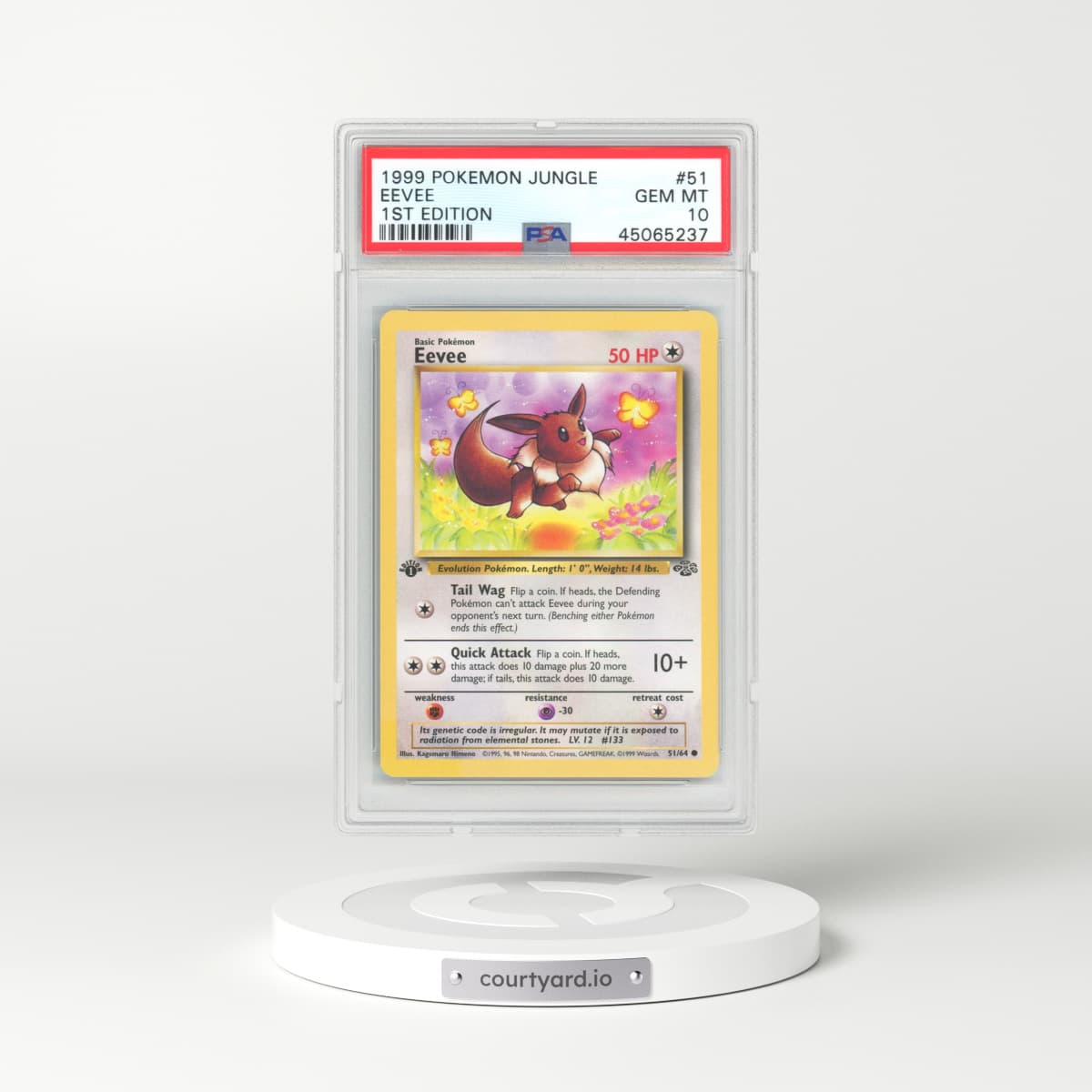 1999 Jungle #51 Eevee - 1st Edition (PSA 10 GEM MINT)