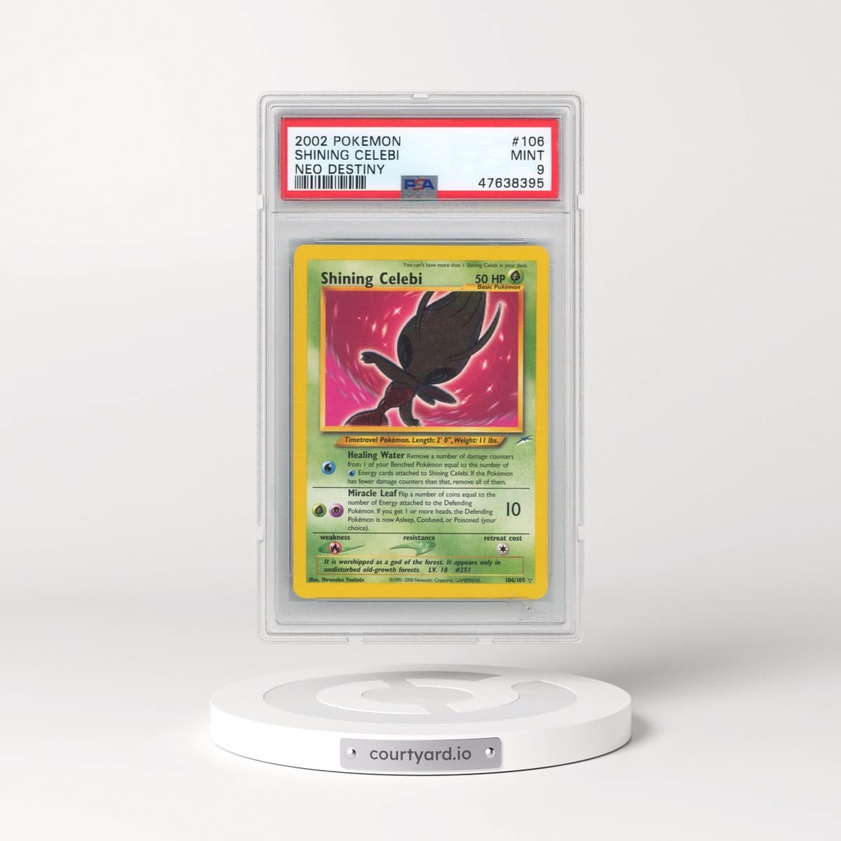 Pokémon Neo Destiny