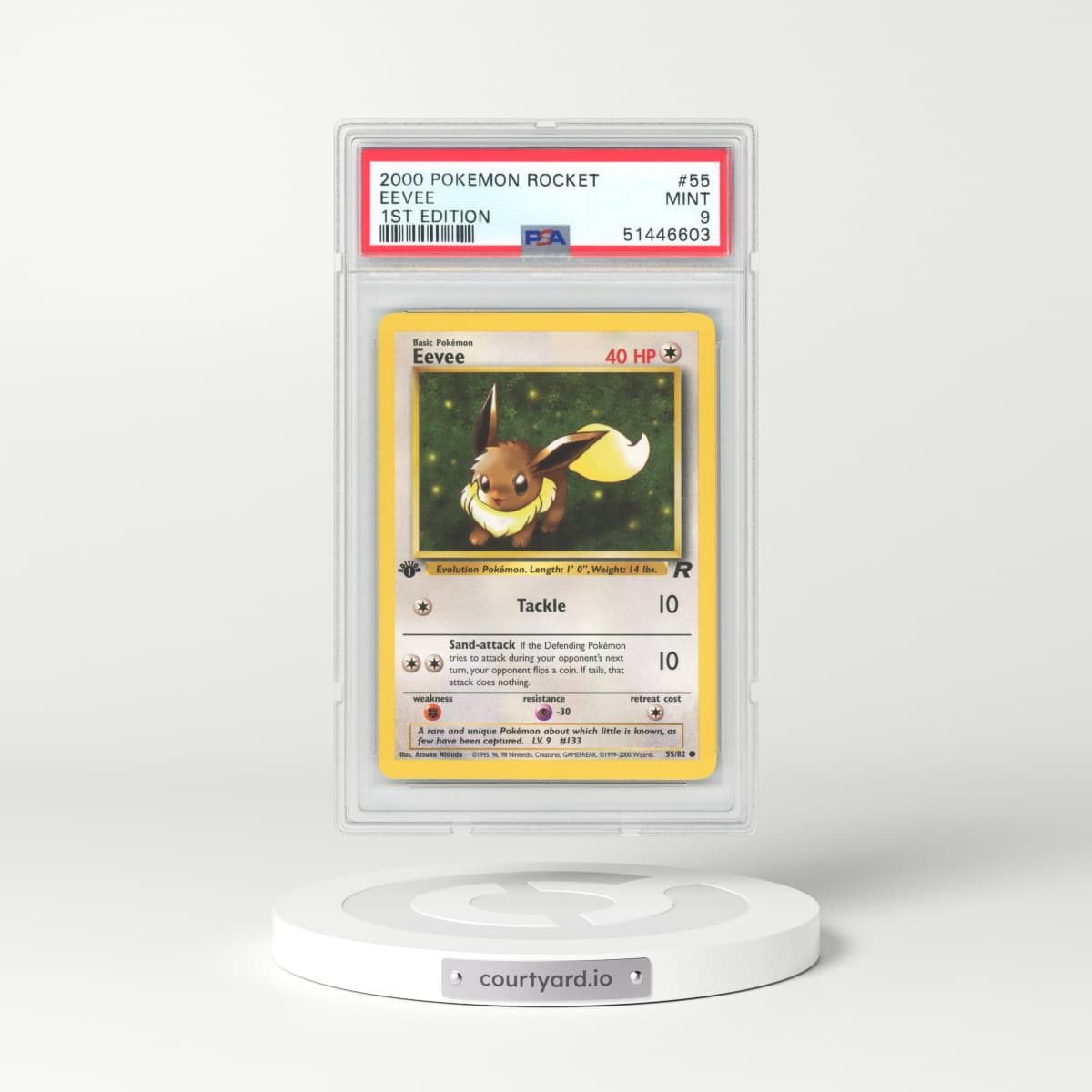 2000 Team Rocket #55 Eevee - 1st Edition (PSA 9 MINT)