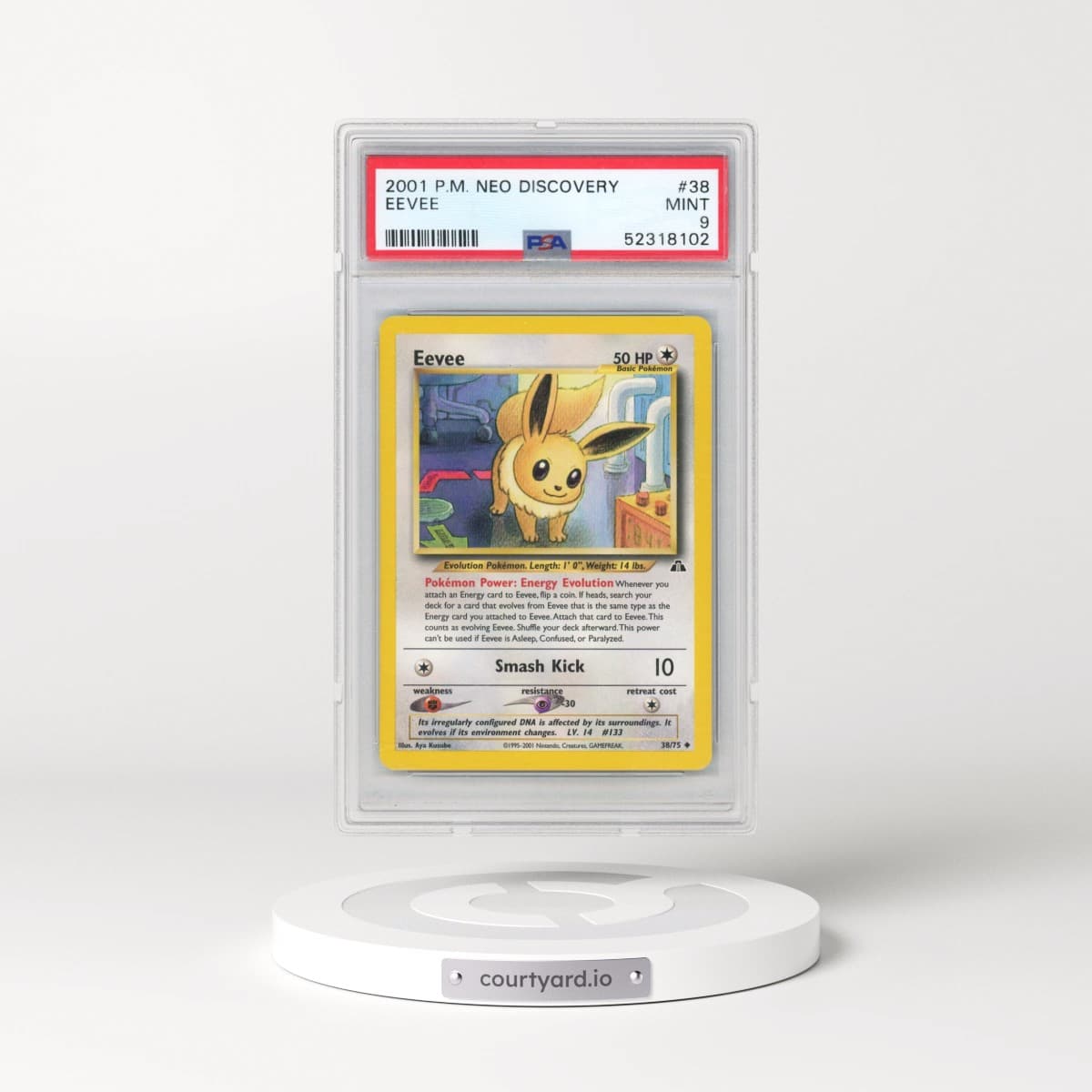 Pokémon Neo Discovery