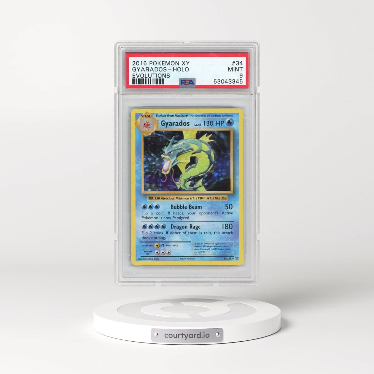 2016 Pokémon XY Evolutions #34 Gyarados - Holo (PSA 9 MINT)