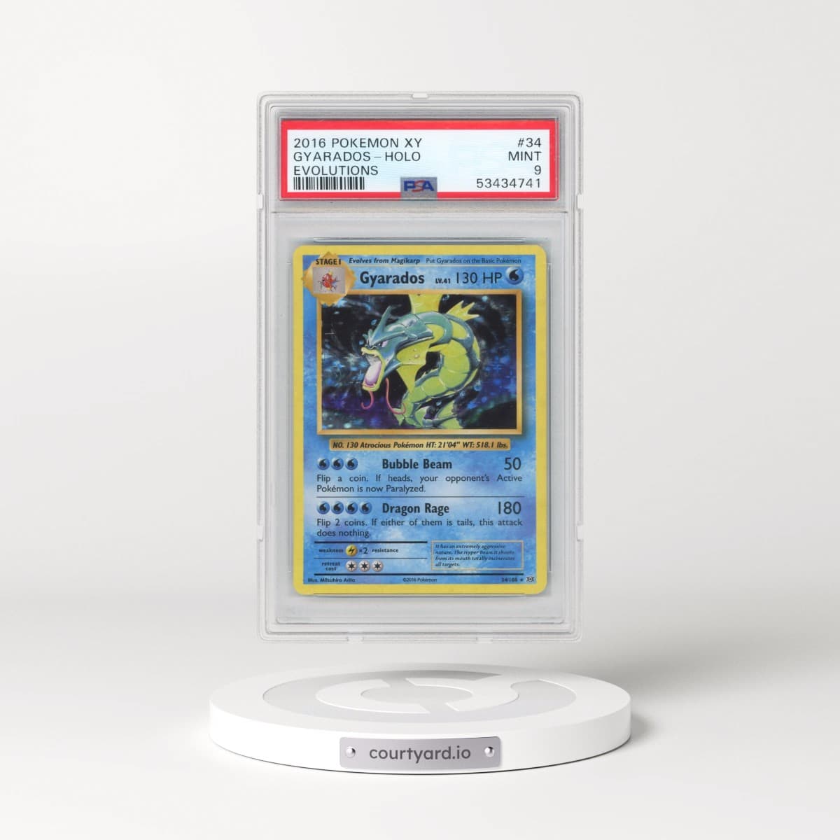 2016 Pokémon XY Evolutions #34 Gyarados - Holo (PSA 9 MINT)