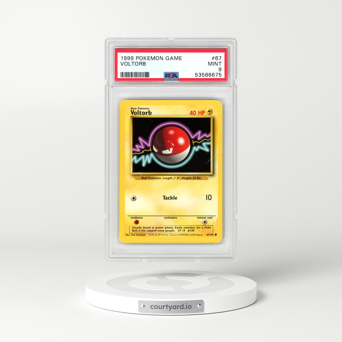 1999 Pokémon Game #67 Voltorb (PSA 9 MINT)