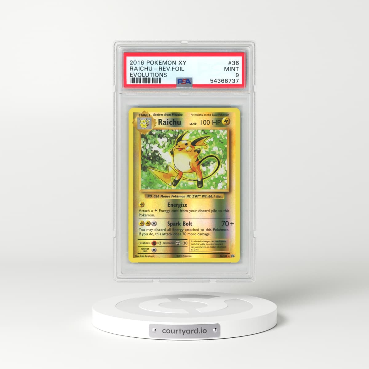 2016 Pokémon XY Evolutions #36 Raichu - Reverse Foil (PSA 9 MINT)